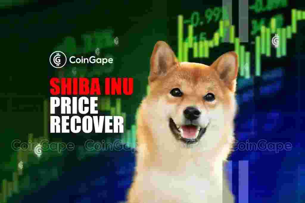 Shiba Inu's Price Poised for Growth, Targets $0.00003 as Undervalued