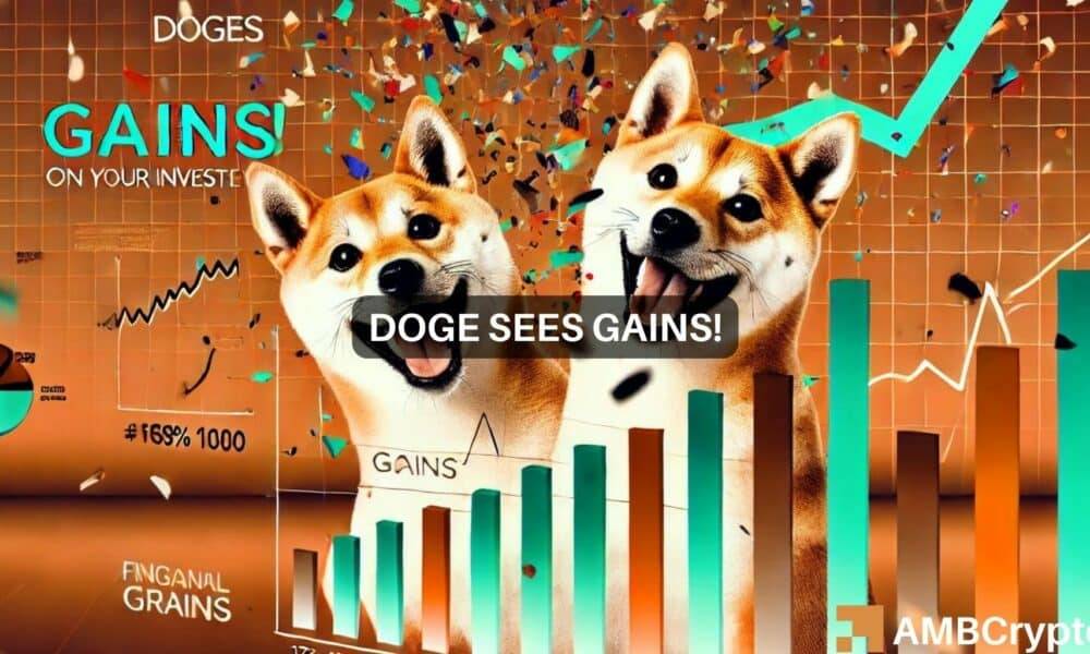 Evaluating the Future Trajectory of DOGE's Market Performance