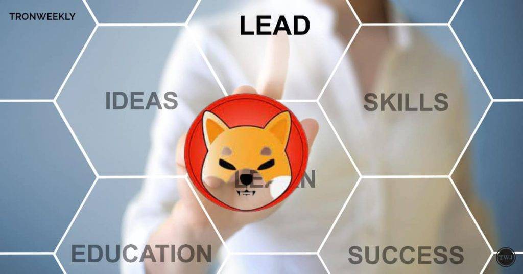 Shiba Inu's Lead Developer Ends Silence with Surprise Update after 13 Days