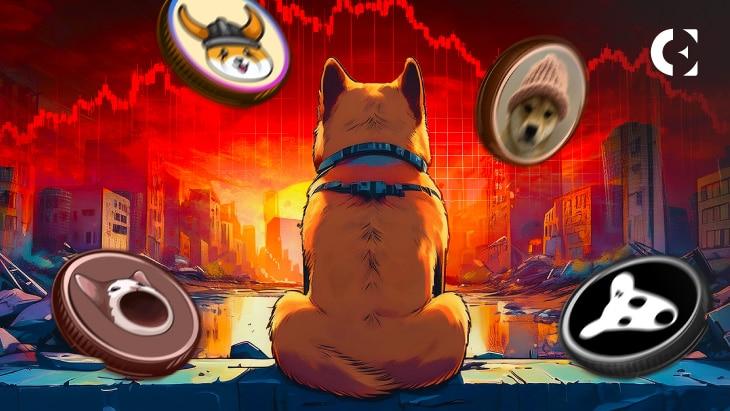 From Rags to Riches: POPCAT Bounces Back, FLOKI Falls & Dogwifhat's $65.6M Triumph