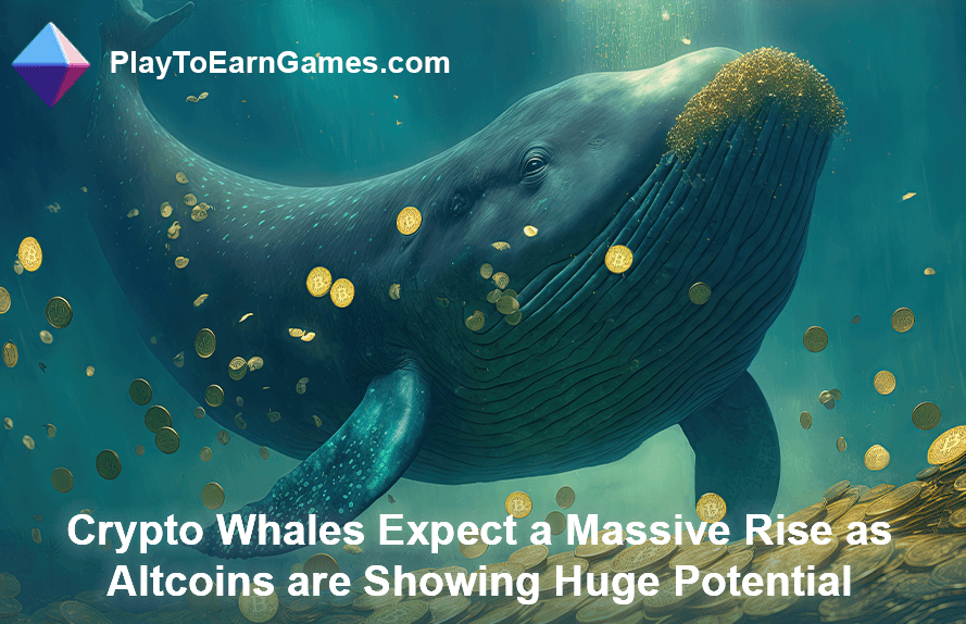 Kripto Balinaları Altcoinlerde Yükseliş Bekliyor