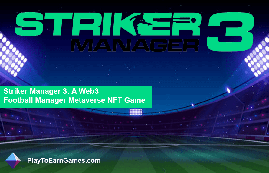 Striker Manager 3 - Oyuna Genel Bakış